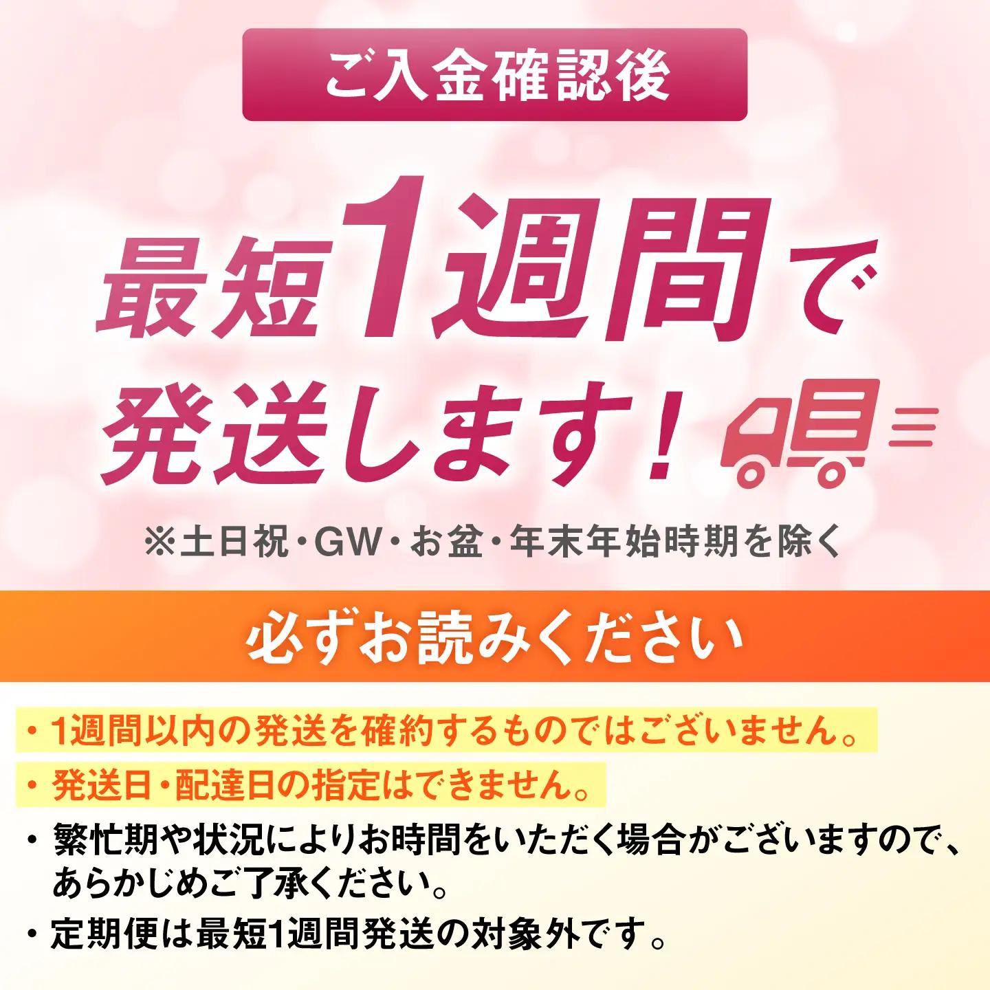 福岡県産 夢つくしパックご飯 24個 ADBG001 パックご飯 人気