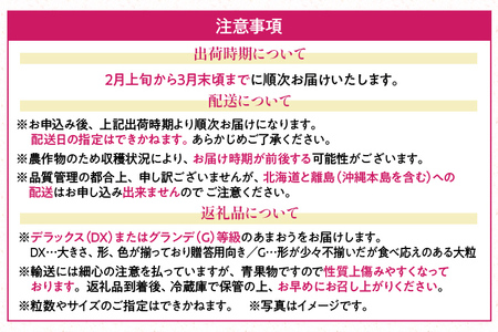 福岡産【春】あまおう 3パック 合計750g （1パックあたり250g） いちご 苺 果物 フルーツ 九州産 福岡県産 冷蔵 送料無料 【2月上旬発送開始予定】