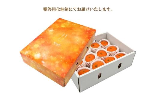 【2027年1月中旬頃から順次発送】 甘平(かんぺい)＜秀品＞約3kg【贈答用化粧箱入り】