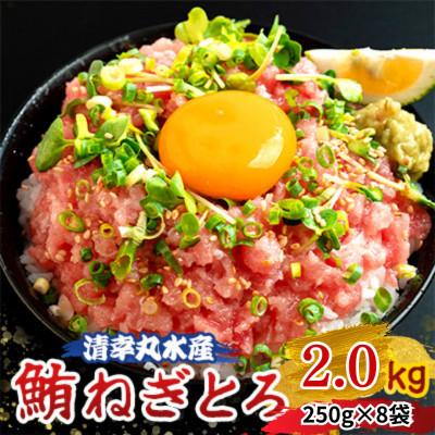ふるさと納税 君津市 清幸丸水産　鮪ねぎとろ2kg(250g×8袋)　★メディアでも紹介
