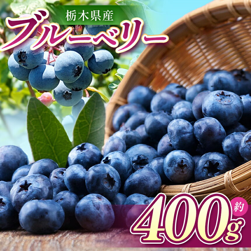 【ふるさと納税】【先行予約】ブルーベリー 400g | 発送 ブルーベリー 旬 産地直送 新鮮 果汁 甘い あまい 大容量 人気 高評価 栃木県 真岡市 送料無料