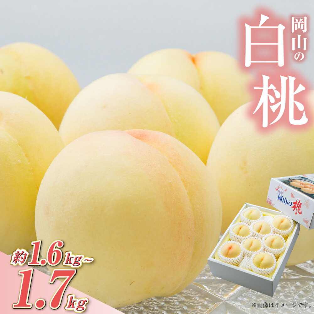 【ふるさと納税】桃 2025年 先行予約 岡山 の 白桃 ＜選べる＞6玉（合計1.6kg以上）／ 8玉（合計1.7kg以上） 化粧箱入り もも モモ 岡山県産 国産 フルーツ 果物 ギフト 果物 フルーツ デザート 食後 上品な甘み とろける 産地直送 　【2025年7月上旬～2025年8月上旬】