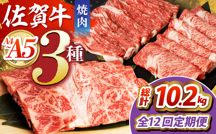 
            【全12回定期便】佐賀牛 焼肉セット（モモ/カタ赤身/肩ロース） 【吉祥】 [HCW011]
          