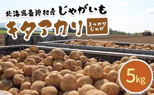 
甘くてホクホク！太陽の光をたっぷりと浴びた　北海道真狩村産じゃがいも　キタアカリ「まっかりじゃが」5kg【2024年産】【0113301】
