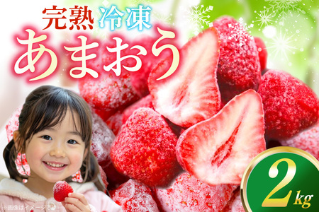 いちご 冷凍 完熟 あまおう 2kg いちご [um40azp070000]