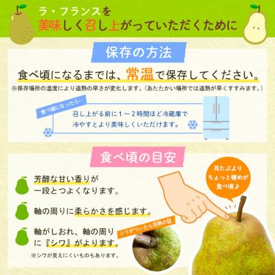 ふるさと納税 山形市 【家庭用】ラフランス 秀品 約5kg FZ22-935 |  | 02