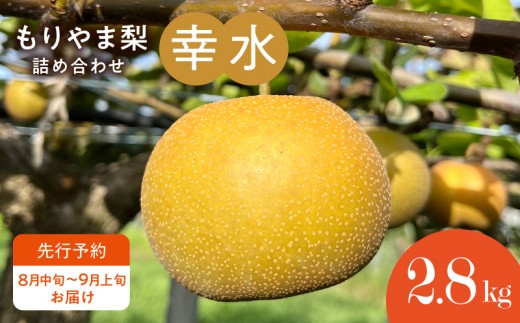 びわこもりやまフルーツランド もりやま梨 幸水詰め合わせ【先行予約】