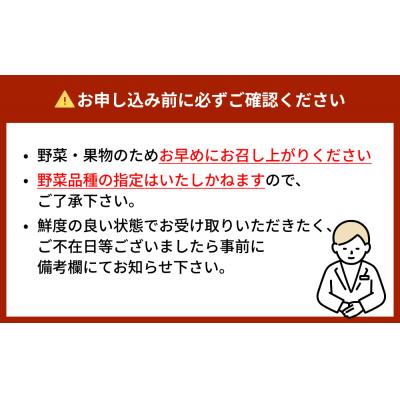ふるさと納税 石巻市 水沢種苗店おススメ新鮮野菜・加工品セット |  | 02