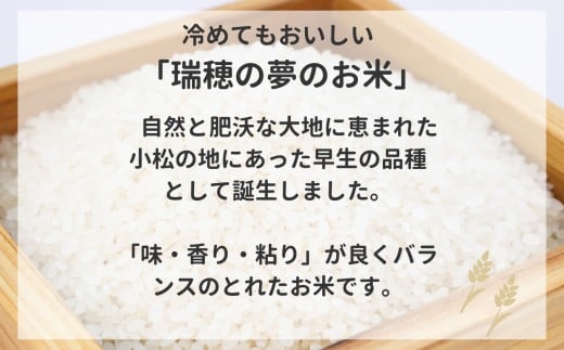 【先行予約】令和8年産 小松産 ゆめみづほ 精米 20kg（5kg×4袋） 米 お米｜石川県 小松市 ＪＡ小松市