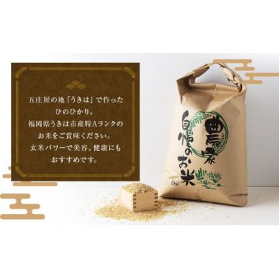 ふるさと納税 うきは市 五庄屋の地で作ったお米 ひのひかり 玄米30kg U160-1RC-BW02-30 |  | 01