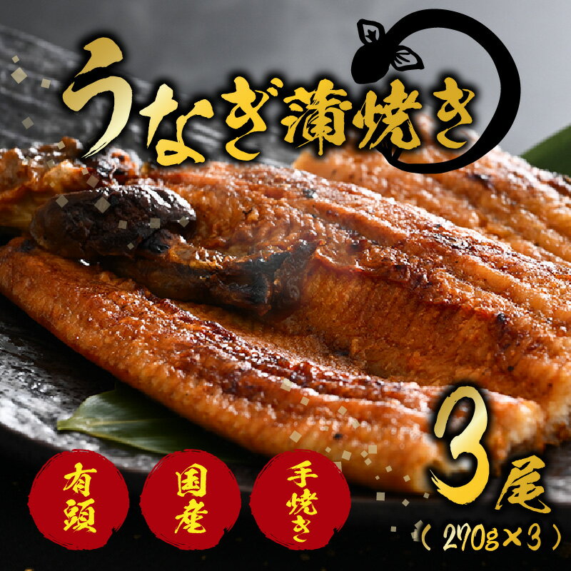 【ふるさと納税】国産 活うなぎ蒲焼 有頭 約270gを3尾（計810g） 3～5人前《ご寄付後、発送直前にひとつひとつ手焼き！》／ 高級 特大 鰻 ウナギ 蒲焼き 老舗魚屋 タレ レンジ 温めるだけ 簡単 土用の丑 うな重 うな丼 自家製タレ付き
