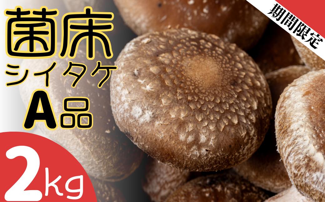 
            ファーム吉五郎　菌床シイタケA品2kg
          