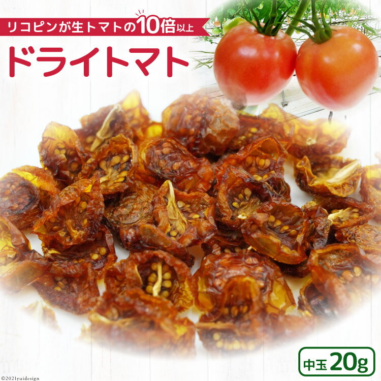 【ふるさと納税】 無添加 ドライトマト 中玉 計20g 国産 トマト [モアショップヤマモト 石川県 宝達志水町 38600540] レビューキャンペーン