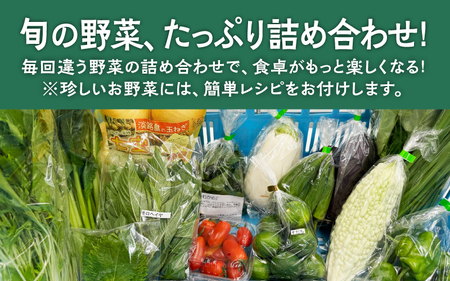 【6回定期便】 淡路島の加工品付き旬の野菜セット10種 / 野菜セット 野菜盛り合わせ 野菜ミックス 野菜ギフト 野菜 旬のお野菜 旬のくだもの 新鮮野菜 お楽しみ レシピ付き 定期便