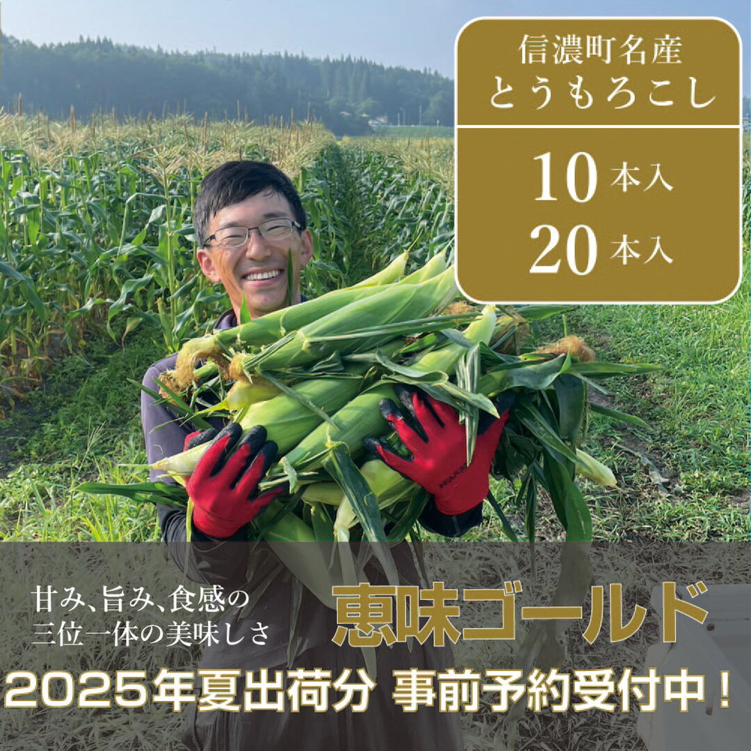 【ふるさと納税】落影農場『恵味（めぐみ） 10本セット / 20本セット』2025年夏出荷分の予約受付開始！ 信濃町名産スイートコーンの人気品種を早期予約限定で受付中！ 令和7年7月下旬～8月出荷予定 朝採れのとうもろこしを生産者から直送【長野県信濃町】