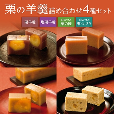 
                  栗の羊羹詰め合わせ_栗菓子 甘味 栗のようかん 和菓子 長野県 飯島町【1606722】
                