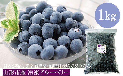 
                  山形市産 冷凍ブルーベリー 1kg  FZ18-202
                
