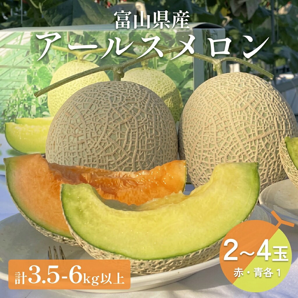【ふるさと納税】〈先行予約〉 アールスメロン 2個 or 4個 セット（赤肉・青肉） 計3.5kg or 6kg 以上 ＜2026年6月下旬以降発送＞ 【贈答用】【秀品】