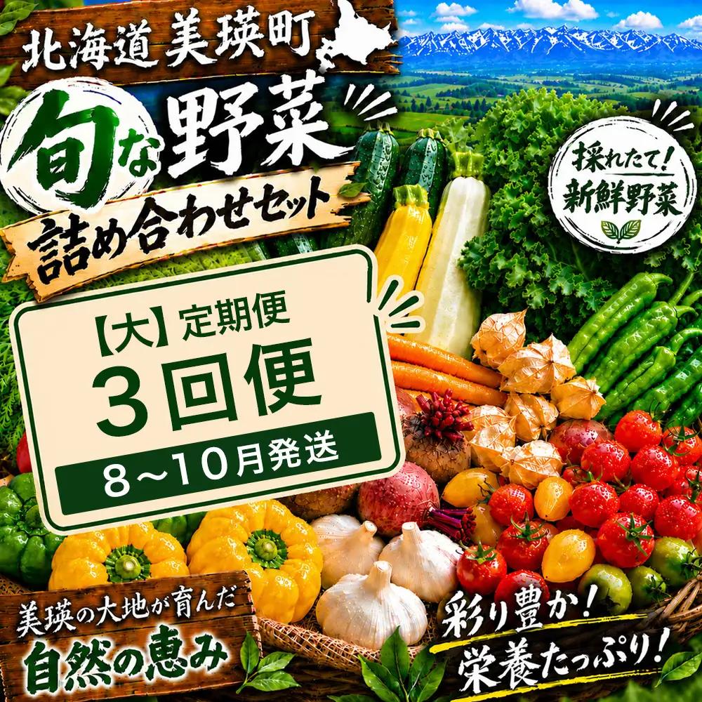 季節の野菜セット【大】定期便 3回便 8月 9月 10月発送 旬野菜 詰め合わせ あらいふぁーむ