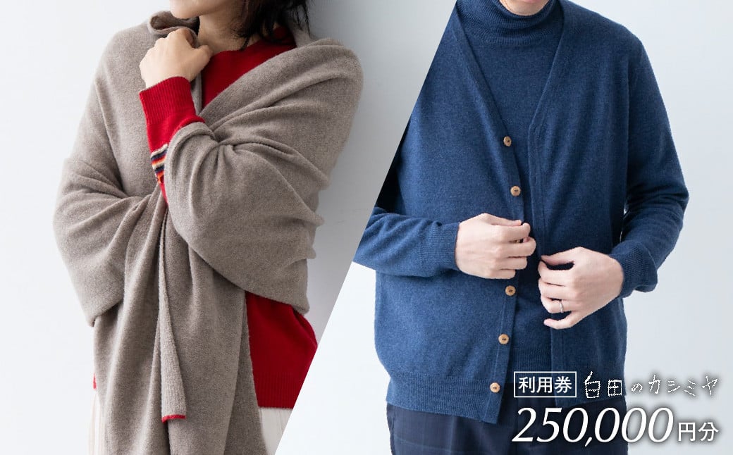 
            《あとから選べる！》白田のカシミヤ　利用券【25万円分】 カシミア 100％ 最高級 ニット 手づくり
          