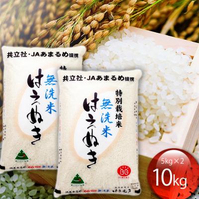 ふるさと納税 庄内町 庄内町産 特別栽培米はえぬき無洗米 10kg 5kg×2袋 令和7年産 2025年産 ブランド米