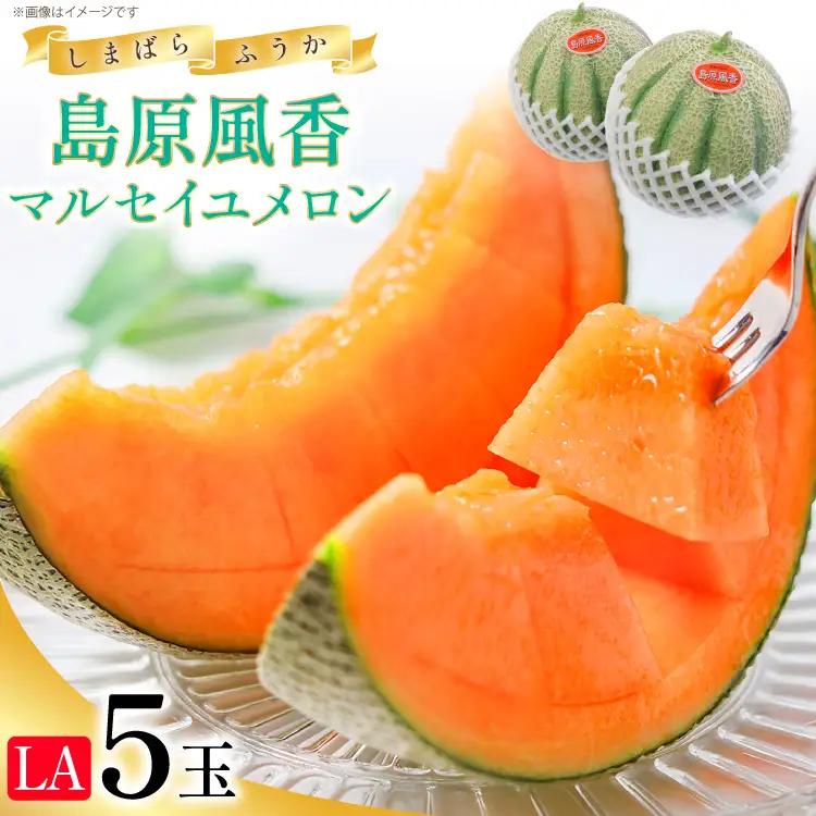 CE160【令和8年度出荷分】マルセイユメロン～島原風香～（LA×5玉）