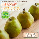 【ふるさと納税】《先行予約 2024年度発送》山形の特産ラフランス約5kg☆小玉をお届け！ なし ナシ 梨 デザート フルーツ 果物 くだもの 果実 食品 山形県 FSY-0115