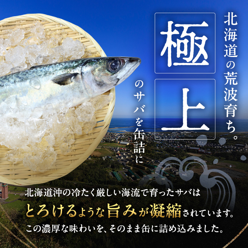 北海道オホーツク枝幸産 さば水煮 缶詰170g×24個 水揚げ当日