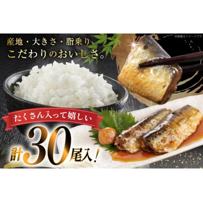 ふるさと納税 気仙沼市 訳あり 業務用 いわし煮魚 3種×10尾 計30尾入 約1.5kg 簡易包装 20565562 |  | 01