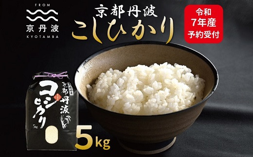 《先行予約》京丹波こしひかり 5kg 令和7年産 新米 京都 精米 コシヒカリ ※北海道・沖縄・その他離島は配送不可 [010MB001]