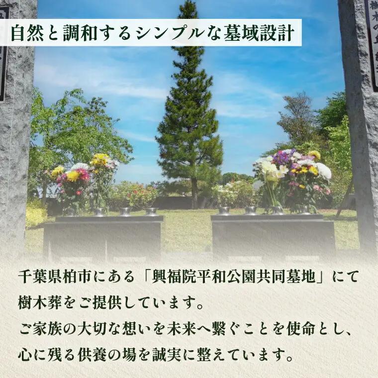 興福院平和公園共同墓地 樹木葬 〈 樹木葬 納骨 永代管理 宗教宗派不問 墓じまい ふるさと納税 柏市 〉