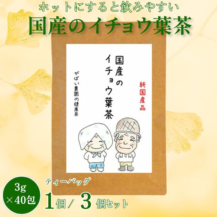 【ふるさと納税】国産 イチョウ葉茶：A095-022