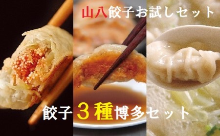 山八餃子お試しセット★餃子3種博多セット（博多明太子餃子・博多一口黒豚餃子・博多水餃子）計46個[H4430]