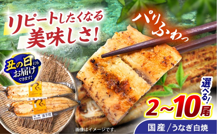 
                  ＜選べる容量＞諫早淡水 うなぎ白焼き 2～10尾 / うなぎ ウナギ 鰻 白焼き 白焼 国産 冷凍 小分け unagi / 諫早市 / 諫早淡水株式会社 [AHAT011] 丑の日 土用丑の日  
                