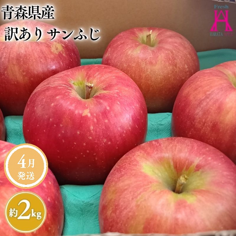 4月発送【訳あり】家庭用サンふじ約2kg【原田青果】りんご 林檎 リンゴ 果物 くだもの フルーツ 不揃い 規格外