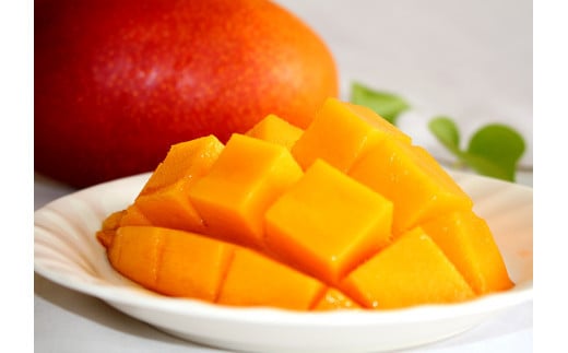 KU394 ＜期間限定・数量限定＞みやざき完熟マンゴー 約700g以上（2Lサイズ2個入[350g～459g]×2個） 【串間市大束農業協同組合】