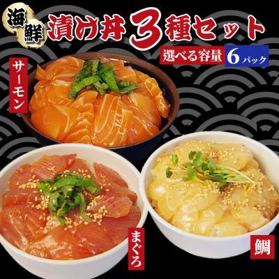 ふるさと納税 小松島市 漬け丼 3種×2P 計6P 海鮮丼 漬け丼セット まぐろ サーモン 鯛