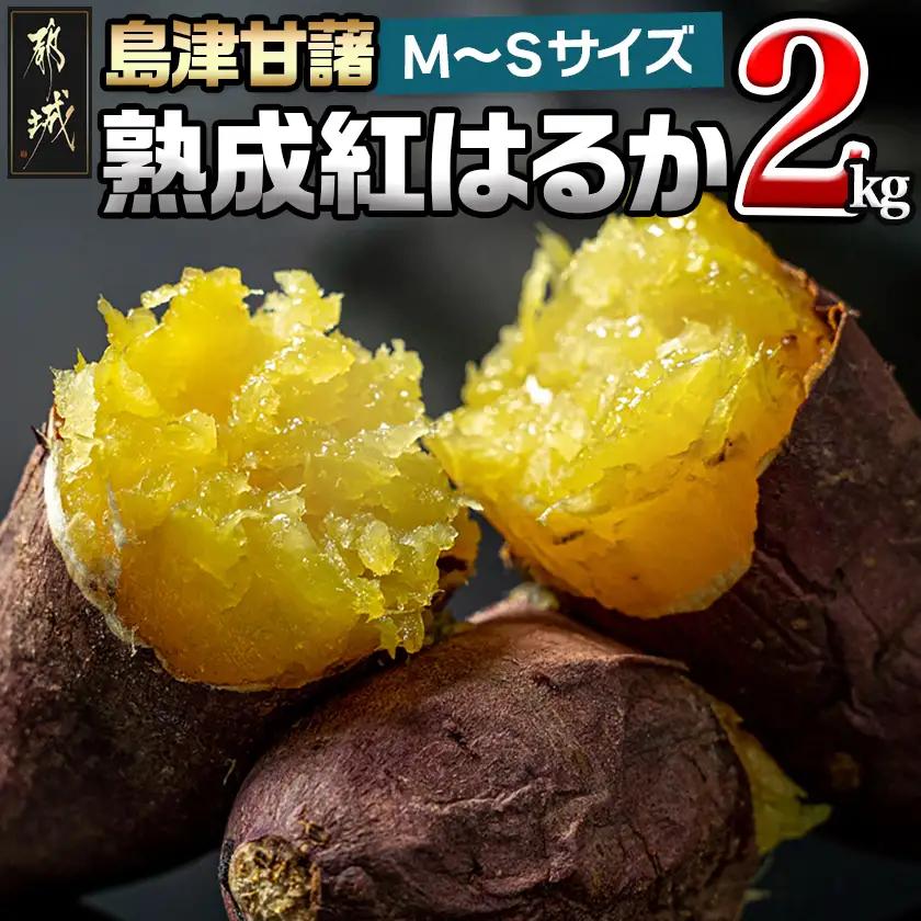 島津甘藷　熟成紅はるか 2kg(M～S)〔LB-A7-001-2kg〕_(都城市) さつまいも 幻のサツマイモ 幻の品種 紅はるか 2kg M～S べにはるか 生芋 ベジエイト 熟成 芋 定番 焼き芋 アウトドア