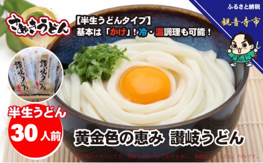 
                  讃岐うどん 半生 黄金色の恵み 300g 10袋 30人前 3人前 国産小麦 さぬきうどん うどん 麺類 麺 コシ 使いきりサイズ 常温保存 製造直送 製麺メーカー 本場の味 かけうどん ぶっかけうどん 釜揚げうどん ざるうどん カレーうどん 香川県 観音寺市
                
