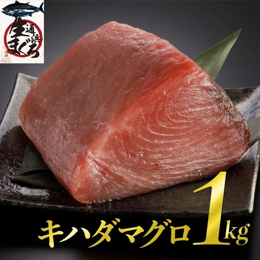 漁協直送！キハダマグロブロック（生）1kg 【 鮪 刺身 マグロ 漬け 新鮮 冷蔵 海の幸 】