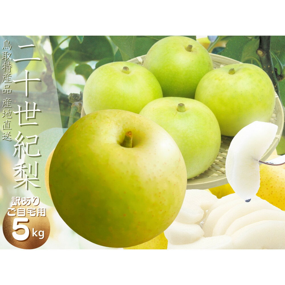 【ふるさと納税】【数量限定】鳥取県産 梨 訳あり ご自宅用 二十世紀梨 5kg | 鳥取 訳あり 梨 なし 二十世紀 期間限定 送料無料 鳥取県 鳥取市