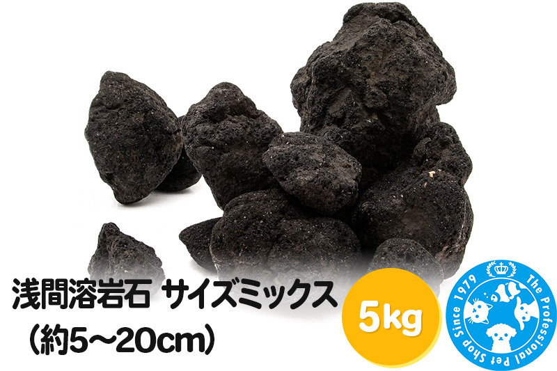 
            浅間溶岩石 サイズミックス（約5～20cm）5kg
          