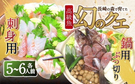 長崎の森で育てた『幻のクエ』 【セット】刺身用 5～6人前、鍋用 5～6人前（1kg～2kg前後×2）／ 計2kg～4kg前後 海鮮 魚介 高級魚 刺身 鍋 セット クエ 養殖 長崎県 長崎市