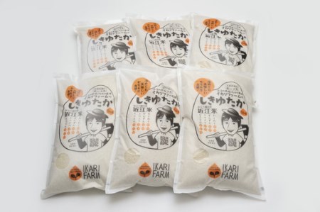 新米 令和7年産 しきゆたか 白米 定期便 全6回 ( 5kg × 6回 ) 【C013W】 近江米