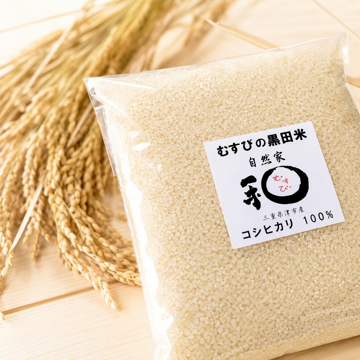 むすびの黒田米 こしひかり 10キロ [ 米 お米 10kg 5kg×2袋 コ