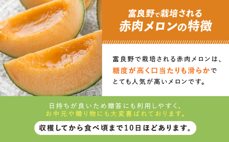 メロン 富良野産 赤肉メロン 大玉 メロン【1玉 1.6kg以上】