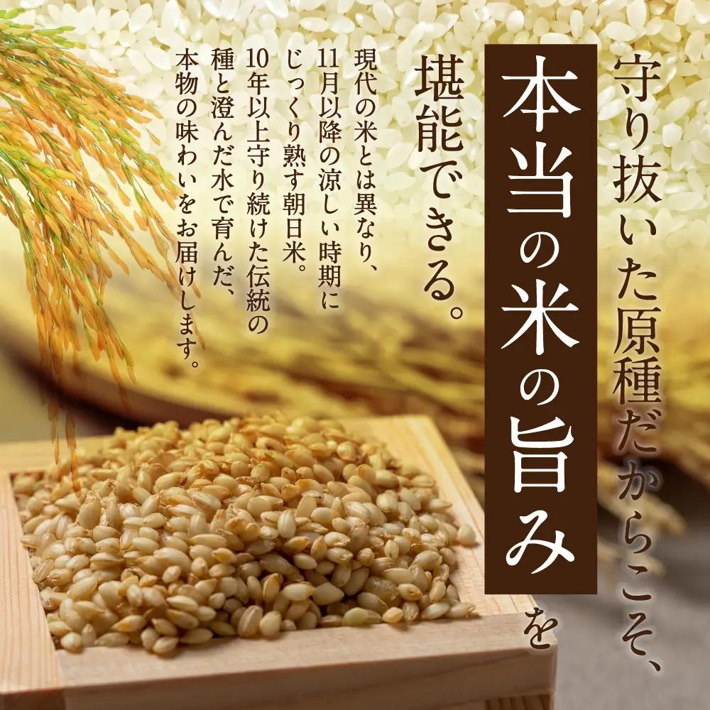 栽培期間中農薬・肥料不使用で作った朝日米 玄米10kg 粟屋農場 山口県 防府市 D-B12 玄米 朝日米 10kg 栽培期間中農薬不使用 肥料不使用 無農薬 自然栽培 在来種 希少米 佐波川
