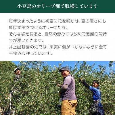ふるさと納税 小豆島町 【井上誠耕園】2025年度 小豆島産エキストラヴァージンオリーブオイル 20mL【化粧用】 |  | 02
