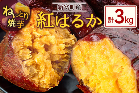 特製焼き芋！熟成蜜芋「紅はるか」計3kg 国産 新富町産［12月～5月出荷］さつまいも ねっとり焼芋 イモ【B641-1205】