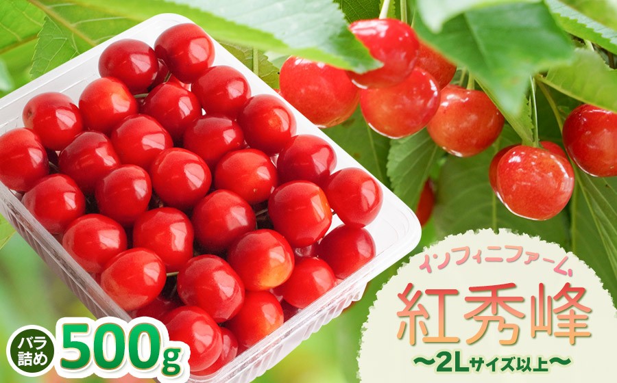 
                  【令和9年産先行予約】 インフィニファームのさくらんぼ「紅秀峰」バラ詰め 500g （2Lサイズ以上） 山形県鶴岡産 K-948 | サクランボ チェリー 紅秀峰 果物 くだもの フルーツ 5００グラム 甘い 完熟 旬 産地直送 人気 美味しい 2027年産 お取り寄せ 山形県 鶴岡市 東北 返礼品
                